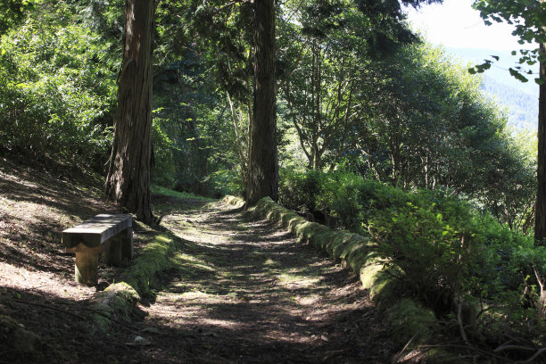 高知县