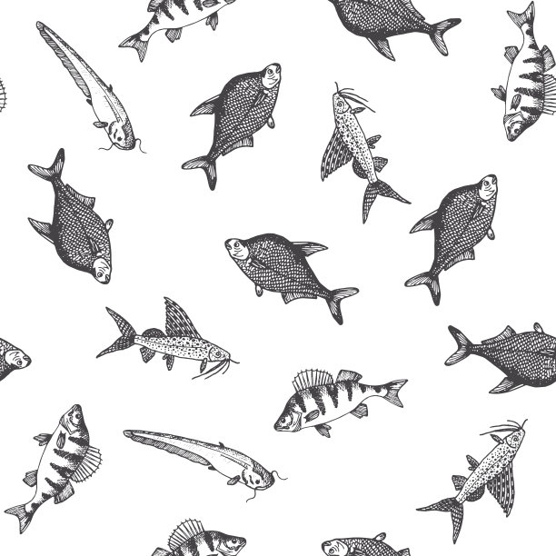 鱼的模式。素描的鲤鱼。手绘矢量插图。矢量海洋和海洋生物的海鲜菜单设计。