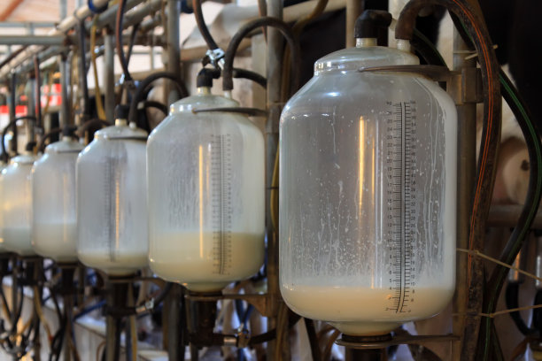 中国滦南县一挤奶车间的玻璃牛奶储存罐