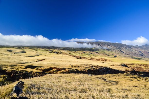 从东毛伊岛的皮拉尼高速公路南海岸看到的干草景观。山属于哈雷阿卡拉火山口，其最高峰在10027英尺。美丽的阳光和一些云-毛伊岛，夏威夷。
