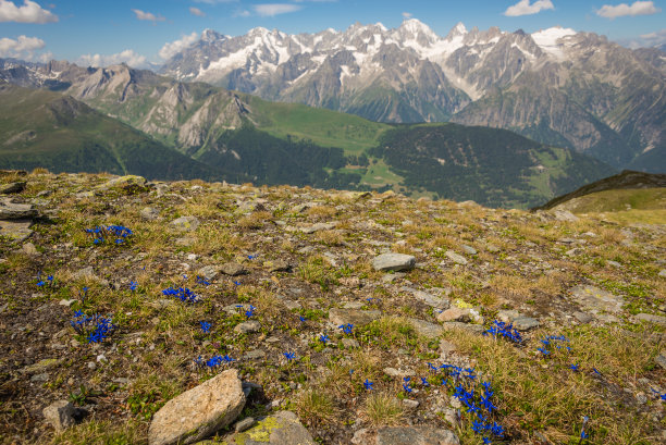 夏蒙尼山风景