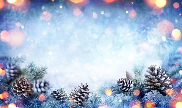 圣诞卡片-雪枞枝与松果和灯