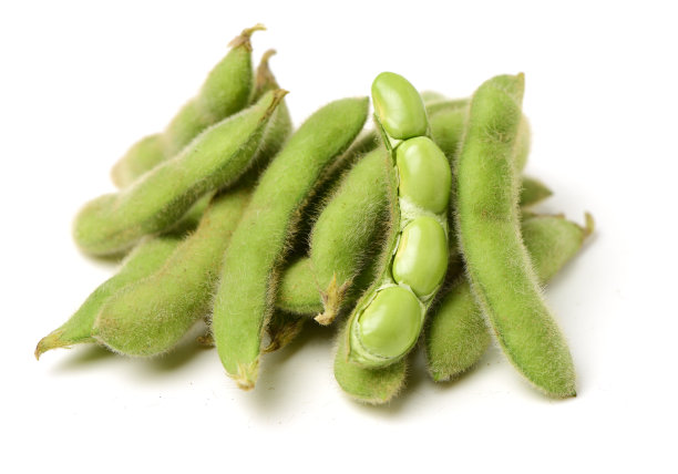 白色背景上的绿色大豆