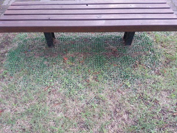 公园里的木凳