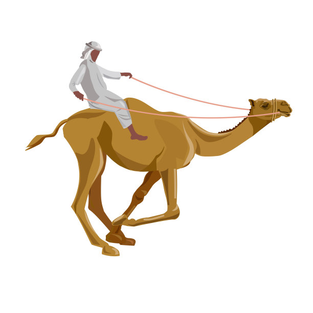 骑骆驼的阿拉伯人