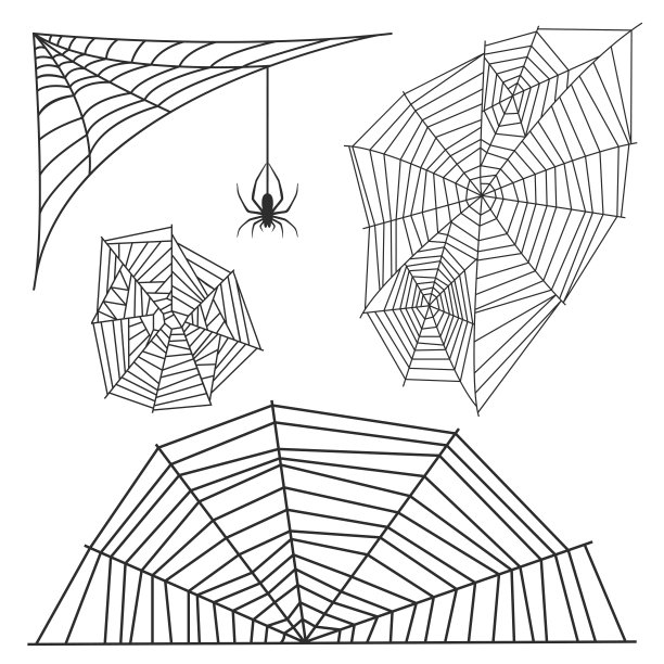 蜘蛛网剪影蜘蛛恐惧图形扁平可怕的动物设计自然昆虫危险恐怖矢量图标