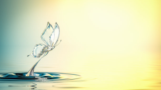 水的蝴蝶