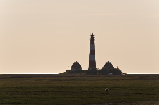 瓦登海.