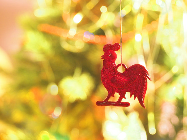 圣诞树背景上的红色公鸡