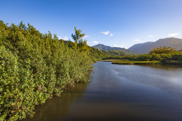 夏威夷考艾岛上的河流