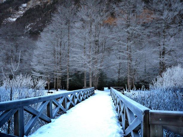 韦斯卡