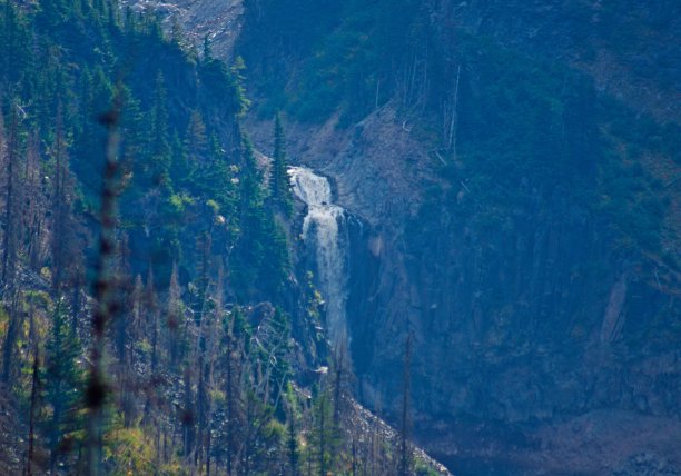 羽冠山国家森林