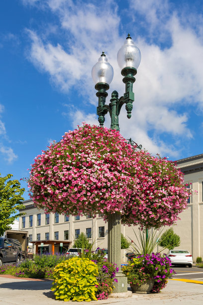 悬挂花篮和盆栽植物灯柱在林登市市中心