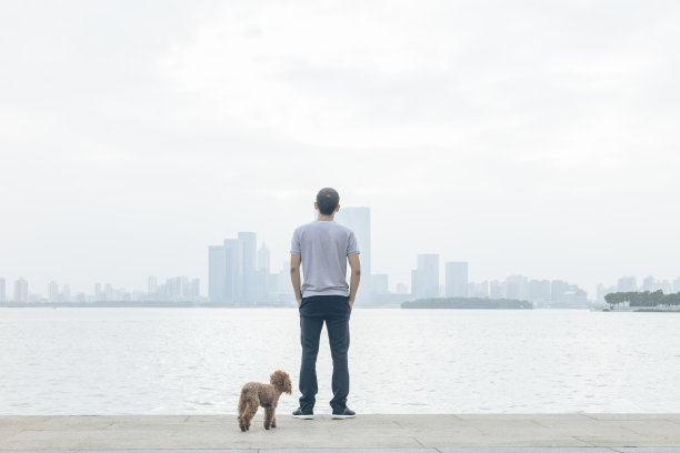 一个沉思的男人看金鸡湖风景的后视图