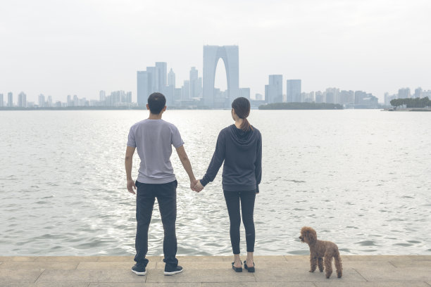 年轻夫妇手牵着手看风景的后视图