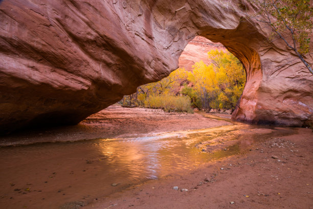 Escalante