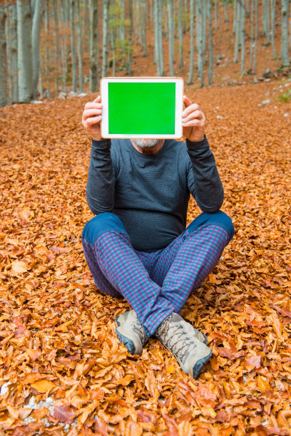 高级男子持有数字平板电脑与绿色屏幕在他的面前，秋天山毛榉森林，欧洲