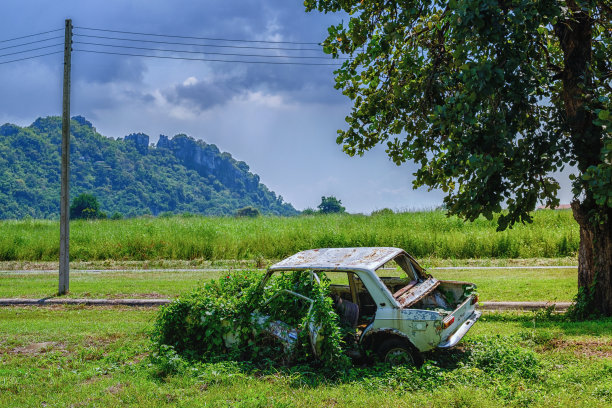 生锈的汽车残骸，被遗弃的旧汽车长满了草，一个生锈的废旧汽车，已被遗弃在山下的树