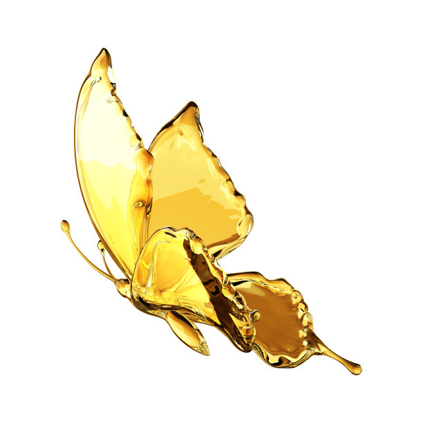 金蝴蝶图片