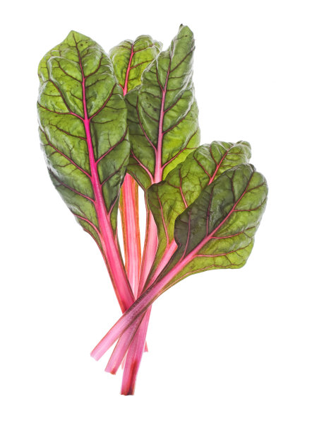 牛皮菜
