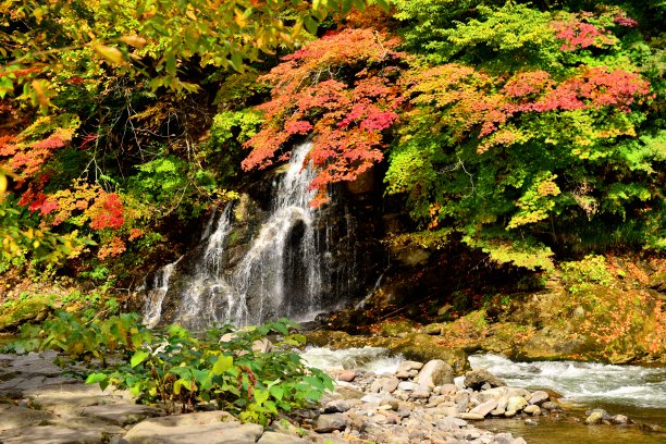 瀑布和秋叶在中野百山，黑石，青森县