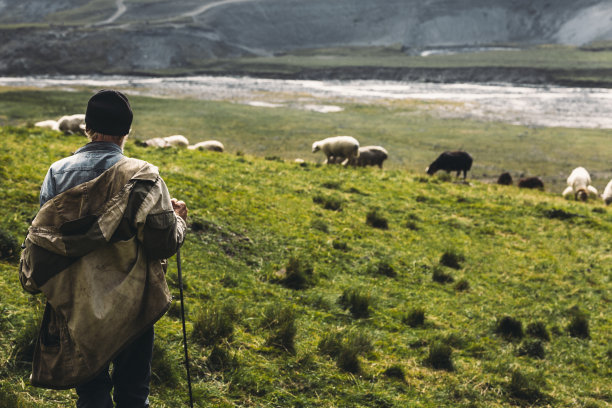 山野牧羊，后视镜。农业的概念