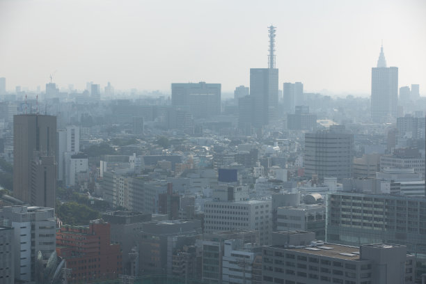 城市