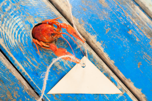 从一个洞里探出来的红煮小龙虾，带着空的棕色纸，三角形和绳子，放在古老的乡村蓝色木板上