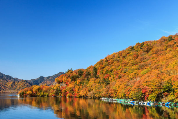 中禅寺湖