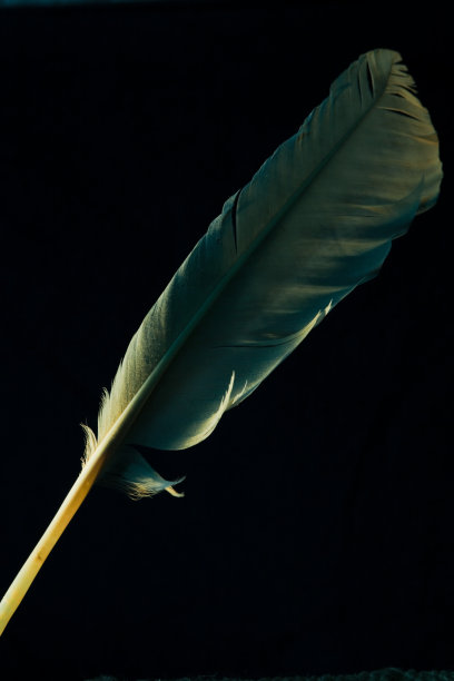 油墨缸
