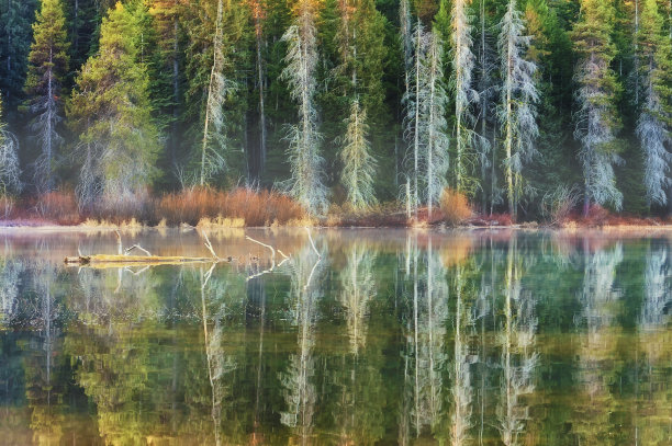 湖