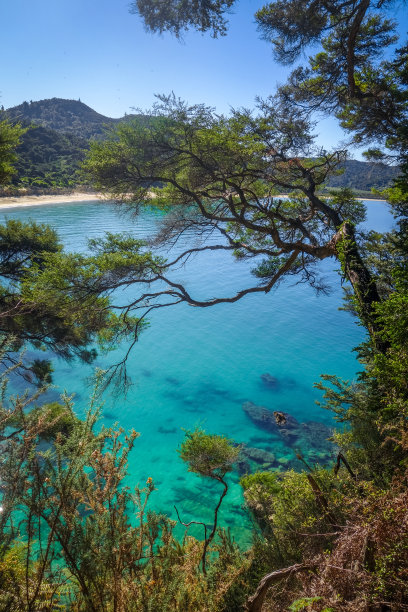 塔斯曼海