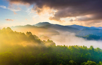 山