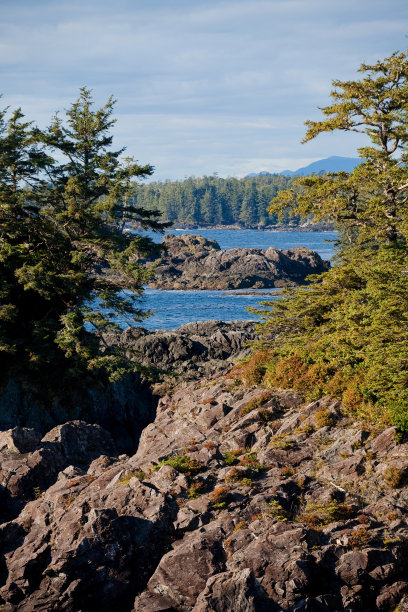 沿着野生太平洋小径的海景，Ucluelet