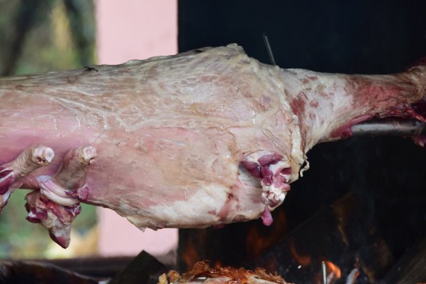 电转烤肉架