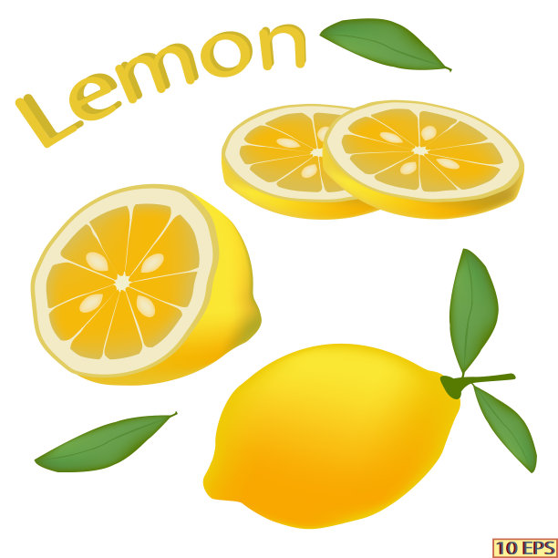 柠檬孤立在白色背景上。黄色水果柠檬特写。柠檬片。食品产品设计。向量。