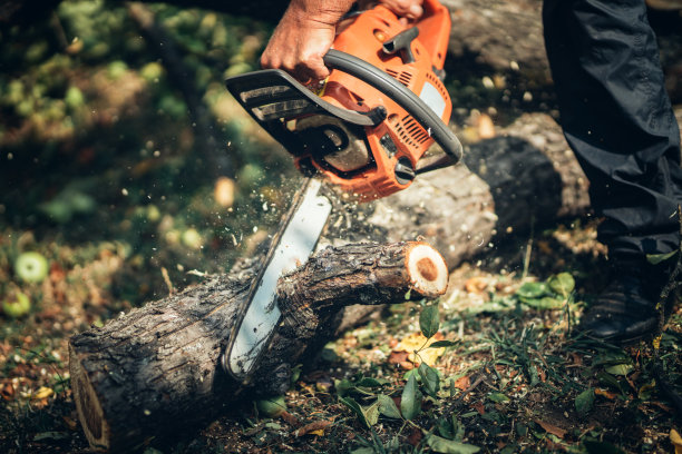 树干切割器、木材和木材切片。伐木的男林务员