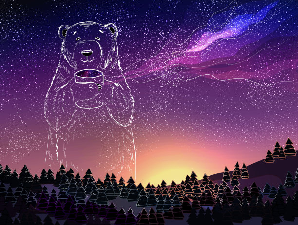 夜空背景上的北极熊。圣诞和新年的主题。