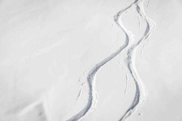 滑雪和滑雪板的免费轨道在粉末雪