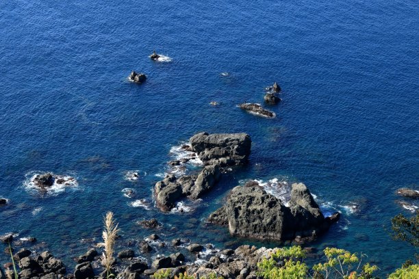 高知县