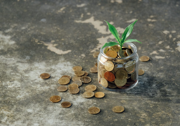 植物生长在硬币玻璃罐和概念省钱硬币。