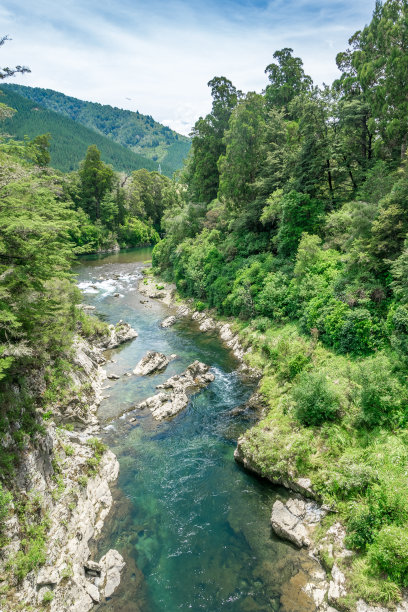 新西兰海熊