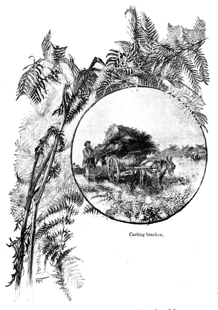 木版画