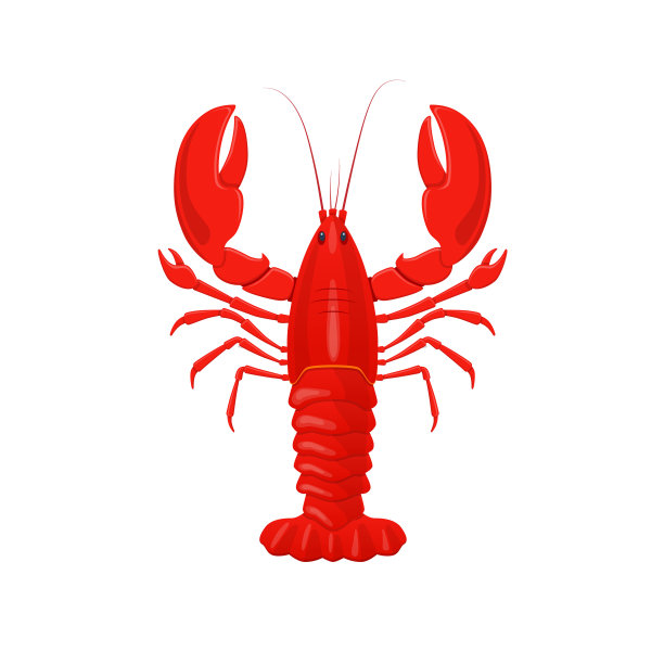 红龙虾,癌症。产品，用于餐厅，生鲜海鲜用于烹饪