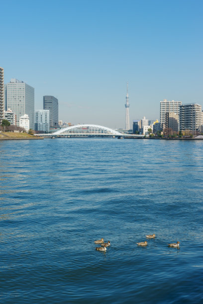 River Sumida