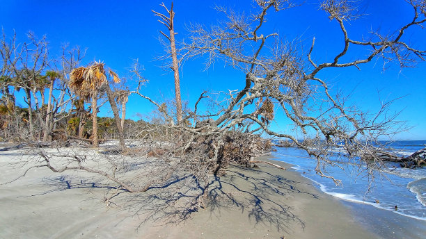 海岸侵蚀，狩猎岛州立公园，南卡罗来纳，海滩