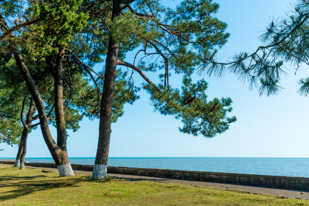 黑海