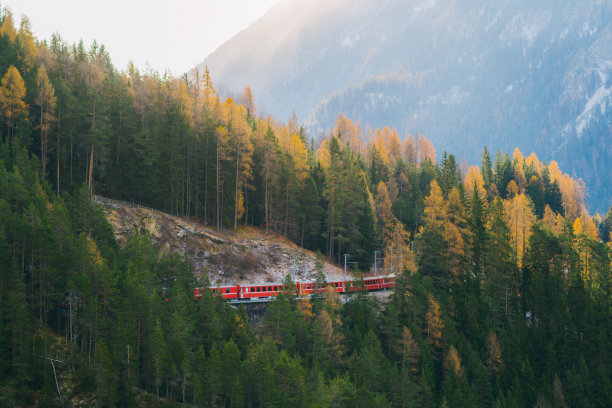 瑞士高架桥上的火车风景