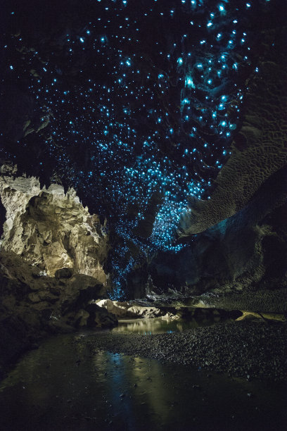 生物发光
