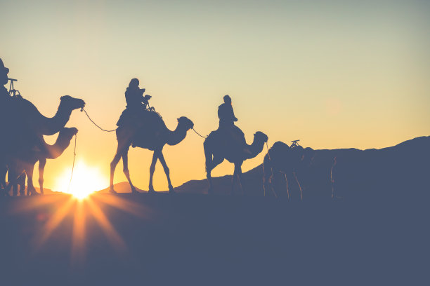 骆驼商队和人们一起穿过撒哈拉沙漠的沙丘。摩洛哥、非洲。